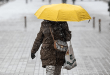 Мокрий сніг, дощ і трохи тепла на півдні: синоптики дали прогноз погоди на вихідні