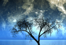 Останній Молодик цього року: для яких трьох знаків Зодіаку він принесе неймовірні зміни