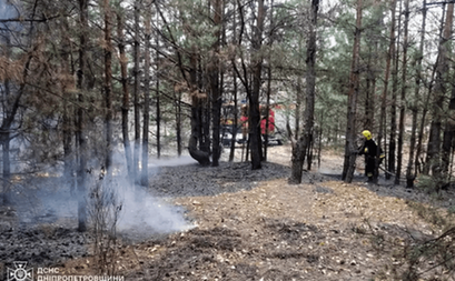 У Павлоградському районі горів ліс