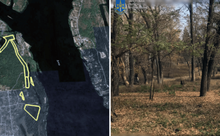 На Запоріжжі прокуратура в судовому порядку повернула державі понад 25 гектарів землі лісогосподарського призначення