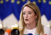 ЄС має створити свою організацію безпеки на додаток до НАТО, – Мецола