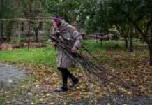 Скільки можна зберігати дров, щоб не потрапити за ґрати: пояснення авторів законопроєкту