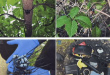 Жителя Запоріжжя засуджено до 6 років позбавлення волі за збут наркотиків