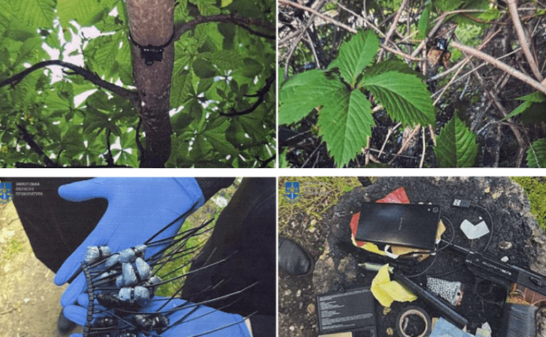 Жителя Запоріжжя засуджено до 6 років позбавлення волі за збут наркотиків