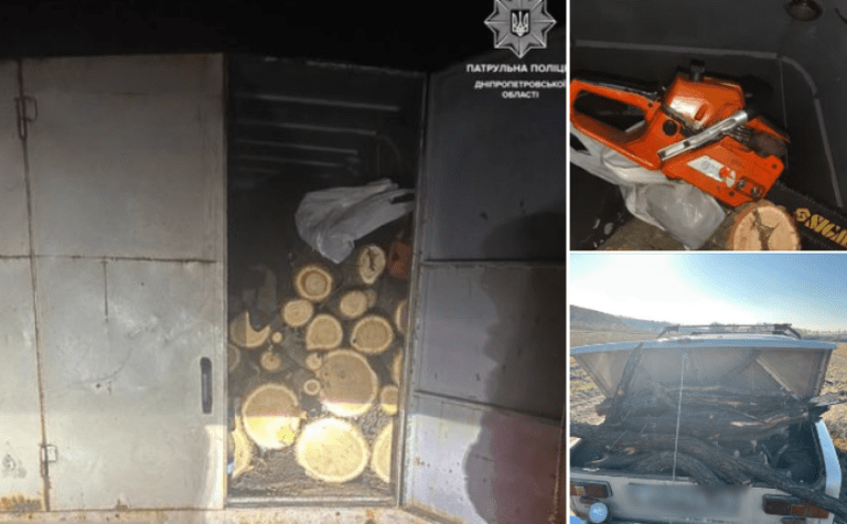 Незаконно вирубували зелені насадження: патрульні Дніпра затримали правопорушників