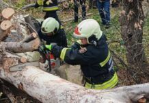 Майже 14,5 тисяч домівок залишилися без світла на Дніпропетровщині через негоду