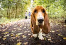 Незвичайно як для листопада. Синоптики дали детальний прогноз на вихідні в Україні
