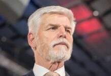 Павел: Трамп спробує укласти угоду з Путіним для закінчення війни “не в інтересах України”