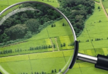 В Україні продовжили кінцевий термін реєстрації земельних паїв до 2028 року