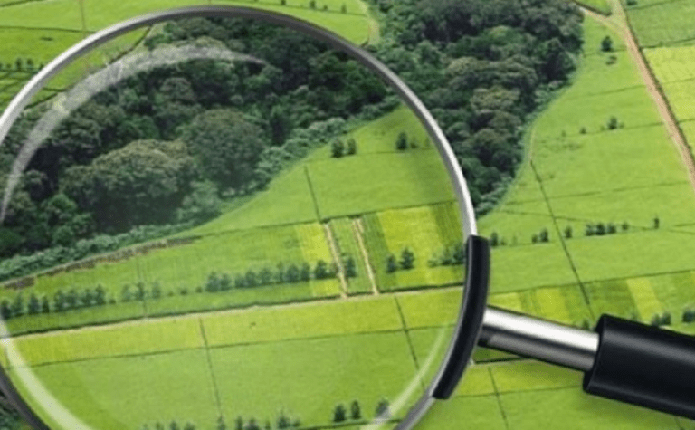 В Україні продовжили кінцевий термін реєстрації земельних паїв до 2028 року