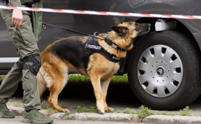 У Дніпрі замінували будівлю соцзахисту: поліція шукала вибухівку