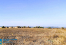 На Дніпропетровщині прокуратура повернула у державну власність землі заказників площею понад 300 га