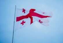 В МЗС Грузії засудили рішення щодо призупинення інтеграції країни до ЄС