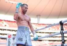 Гвоздик, Богачук та два інші українці ввійшли в топ-15 оновленого рейтингу WBO