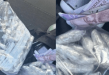 У Кривому Розі затримали водійку авто, в якої виявили два пакети з наркотичними речовинами