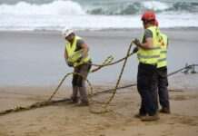 Між Фінляндією та Німеччиною обірвався підводний кабель: зв’язок порушено