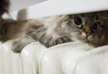 Опалювальний сезон у Дніпрі розпочнеться 1 листопада