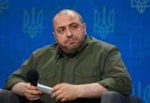 У “Резерв+” запустили нові онлайн-відстрочки: хто зможе оформити