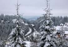 Відпочинок у Карпатах: скільки коштує оренда житла у листопаді