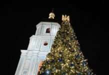 Головна ялинка країни 2025: що відомо про новорічне дерево і святкові заходи у столиці