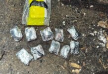 У Кривому Розі правоохоронці затримали наркозбувача та вилучили психотропів на суму майже 200 тисяч гривень