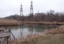 Річка Кальміус біля окупованого Маріуполя стала токсичною, – ЦНС