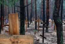 Лубінець: за час повномасштабного вторгнення війська РФ стратили 177 українських військовополонених