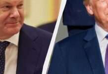 Розмова Шольца й Трампа: що обговорювали та як це вплине на Україну