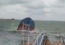 У Greenpeace Україна прокоментували аварію танкерів у Керченській протоці