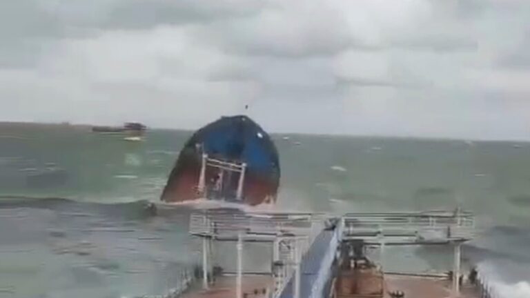 У Greenpeace Україна прокоментували аварію танкерів у Керченській протоці