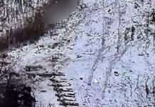 Пентагон оцінив ефективність атак військ КНДР у Курській області РФ