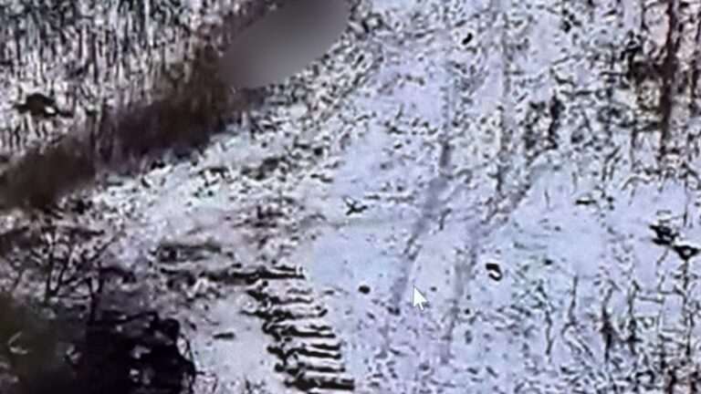 Пентагон оцінив ефективність атак військ КНДР у Курській області РФ