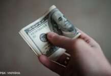 Банкір прогнозує зростання курсу долара: чого очікувати в середині грудня