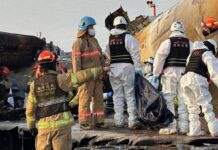 Авіакатастрофа в Південній Кореї: розслідування зосередиться на зіткненні з птахами й шасі