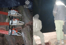 У Верхньодніпровському районі патрульні виявили осіб, шо незаконно вирубують зелені насадження