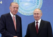 Ердоган знову говорив із Путіним – темою розмови була ситуація в Сирії