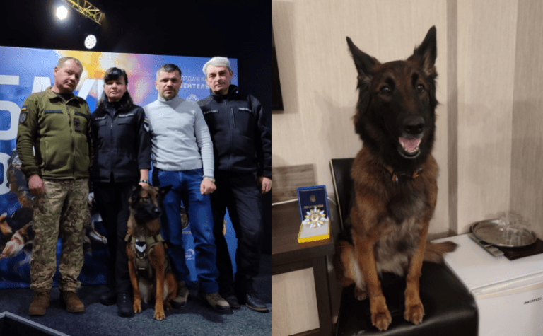 Знайшла 120 людей: пошуково-рятувальна собака з Дніпропетровщини отримала нагороду «Собака – герой України»