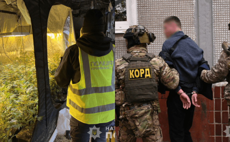 Отримували 1 000 000 гривень на місяць за збут канабісу: в Запоріжжі затримали наркоторговців