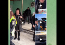 34000 грн штрафу за використання символіки Національної поліції України: на Запоріжжі виявили пʼятьох порушниць