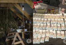 Запорізькі правоохоронці вилучили у місцевого ділка канабіс на 2 000 000 гривень