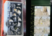 Патрульні Дніпра виявили чоловіка, який робив закладки у Центральному районі