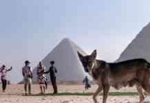 У столиці Єгипту Каїрі почались антиурядові протести – медіа