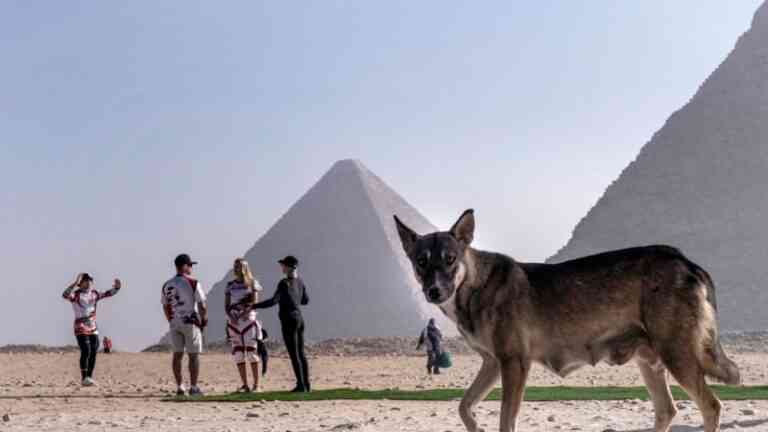 У столиці Єгипту Каїрі почались антиурядові протести – медіа