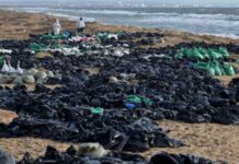 Мазут із танкерів у Чорному морі все ще виносить на вже очищені пляжі Краснодарського краю РФ