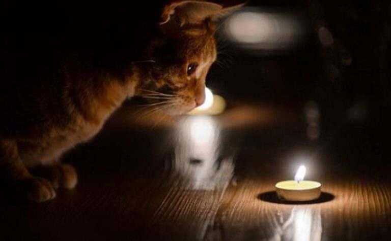 Графіки не застосовуються: у Дніпрі та області ввели екстрені вимкнення світла