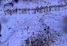 З’явилися фото з десятками загиблих із армії РФ на Курському напрямку, серед них – північнокорейці