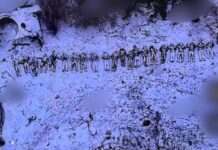 КНДР може розгорнути додаткові війська на підтримку Росії у війні – Yonhap