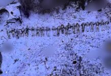 У ЗСУ розповіли, як Росія приховує втрати серед солдатів КНДР