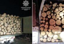 На Дніпропетровщині затримали двох чоловіків, які незаконно спилювали деревину