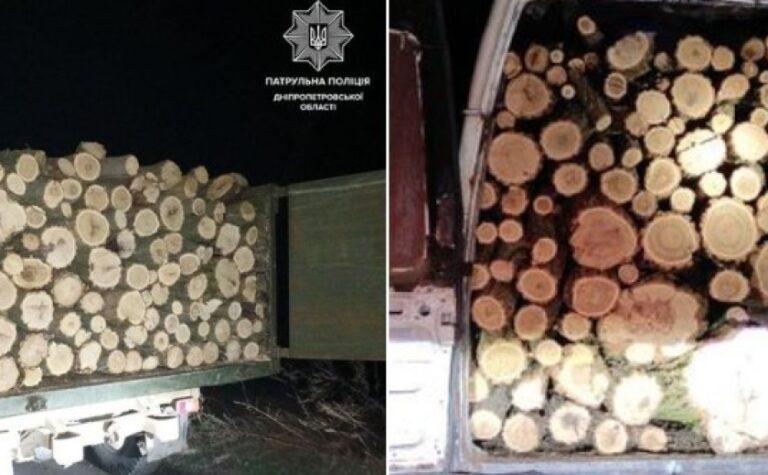 На Дніпропетровщині затримали двох чоловіків, які незаконно спилювали деревину